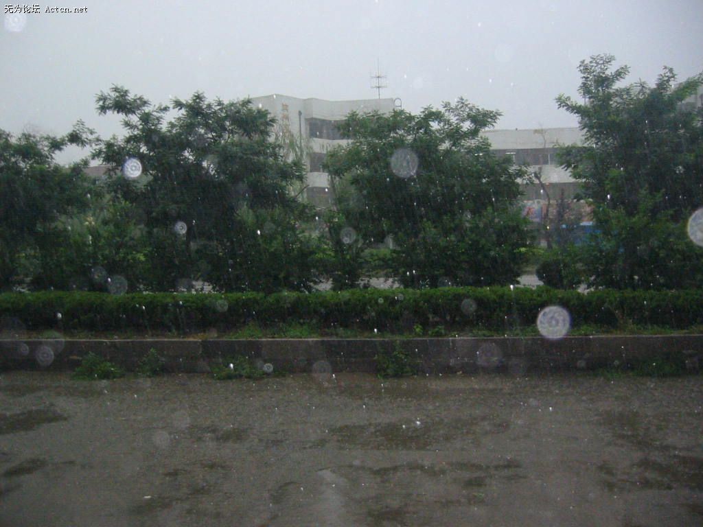 IMG_0102.JPG