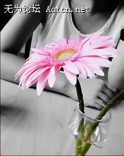 20070530_a1dd53b138f6a3e8790at5A8dkVWA0M8.jpg