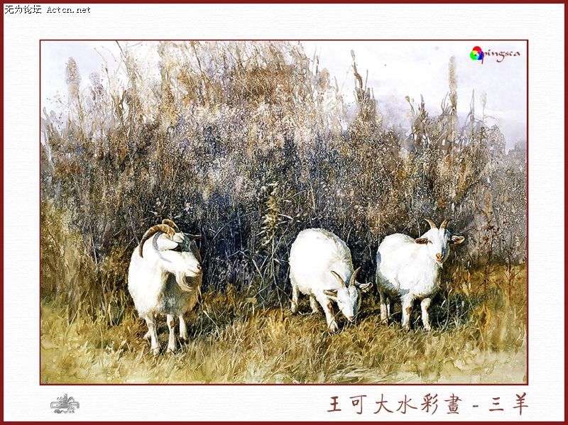 20080413_7d2ef17a9dfc0db893d97NkOAIj83qEk.jpg