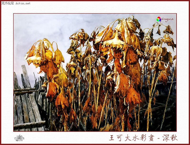 20080413_c768ddbd8d29db2657c5Q68i7AYf3s7D.jpg