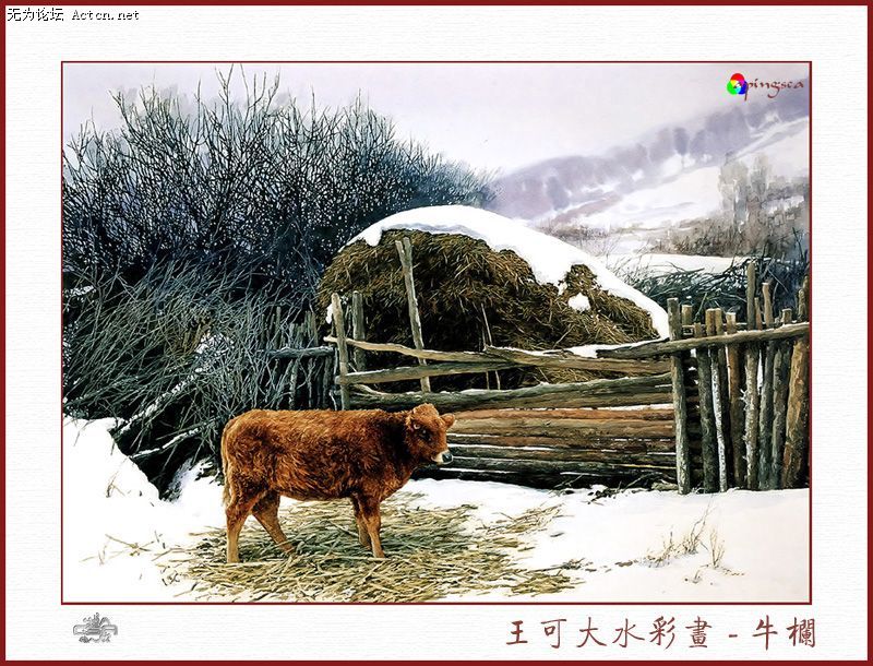 20080413_bdef500ee8d671b48ddcmYvtoE03lPcX.jpg