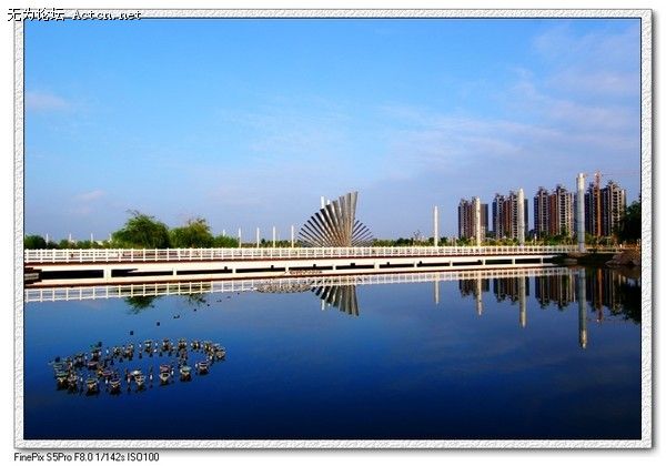 large_3084g70.jpg