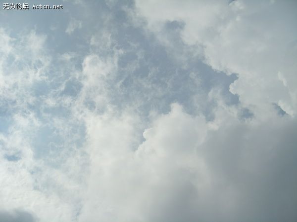 SDC10466_С.JPG