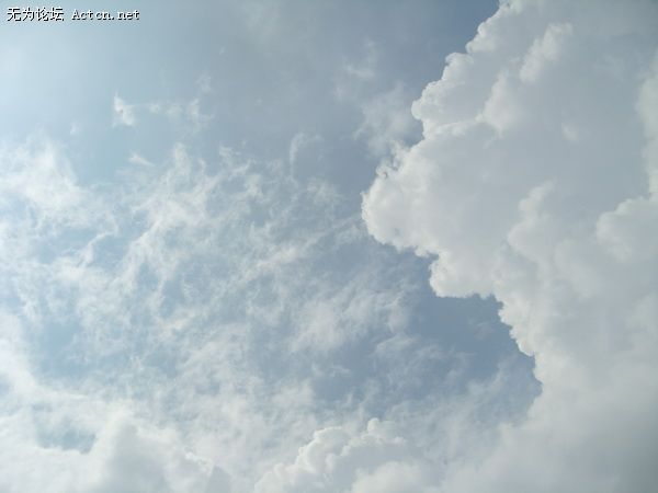 SDC10465_С.JPG