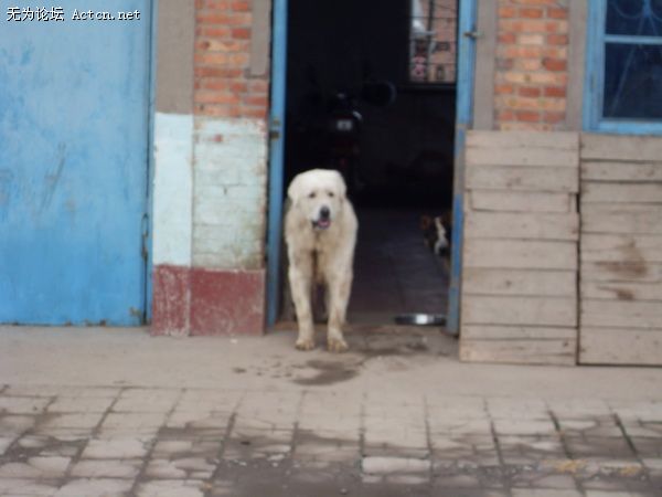 SDC10387_С.JPG