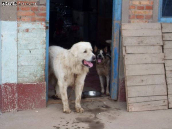 SDC10389_С.JPG