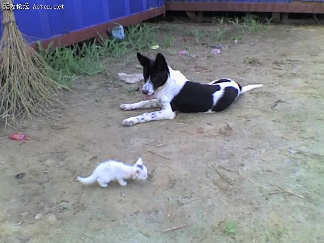02-08-08_0730.jpg