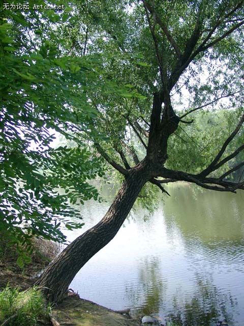07120068 .jpg