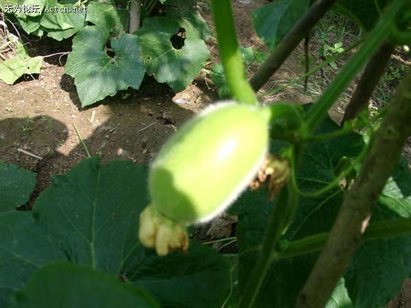 07120057 .jpg