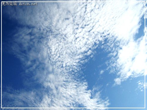 IMG_1361.jpg