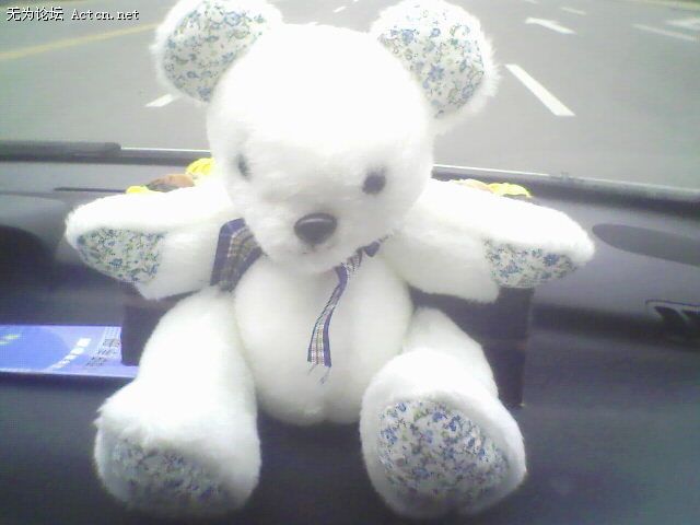 IMG0519A.jpg