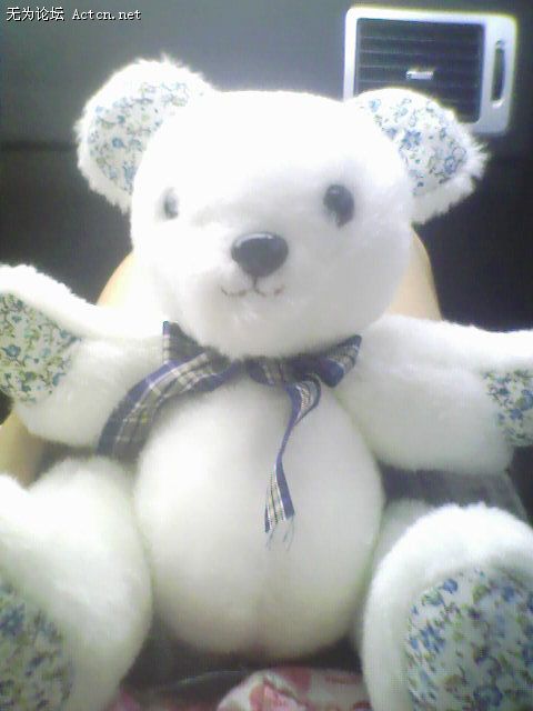 IMG0520A.jpg