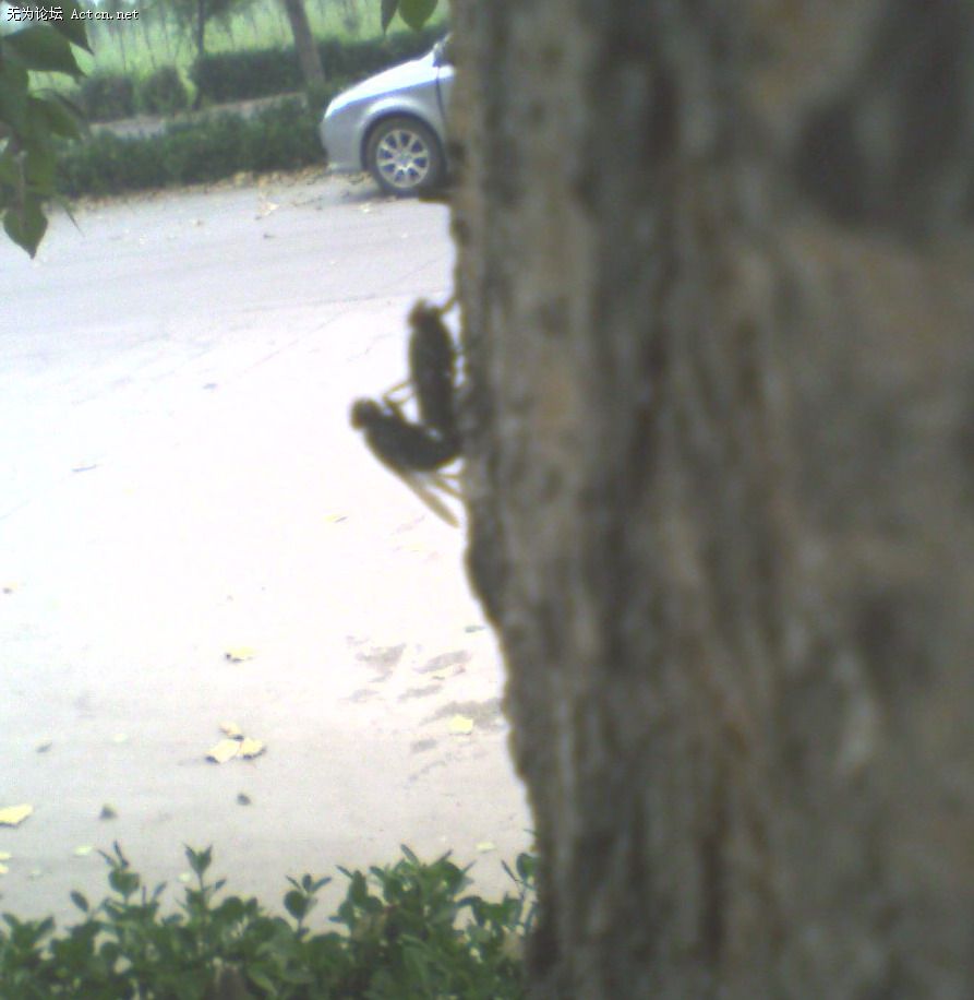 0808102409.jpg