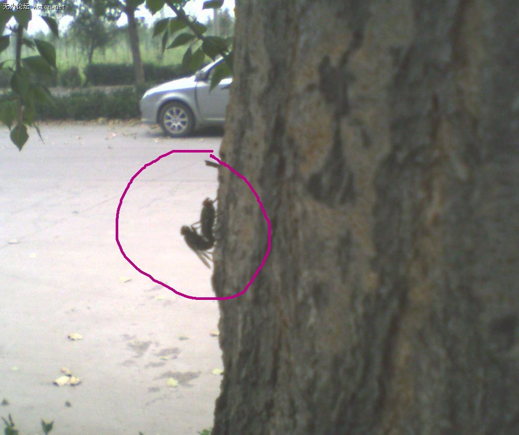 0808102348.jpg