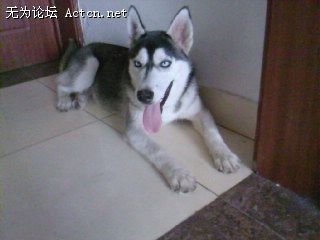 SP_A0054.jpg