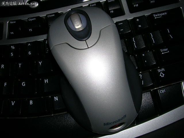 20080726_95d530016e1104d5015fikLJ3XaOOxTU.jpg