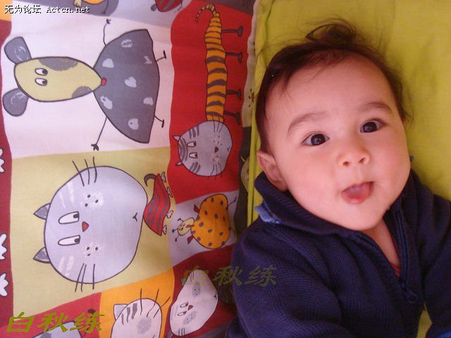 7565140_1355910.jpg