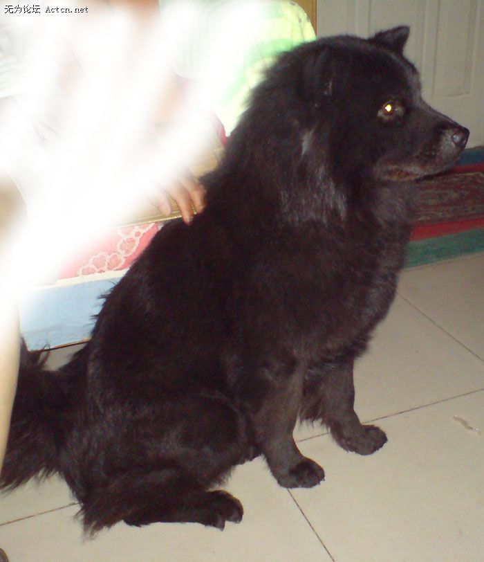 DSC00113.JPG