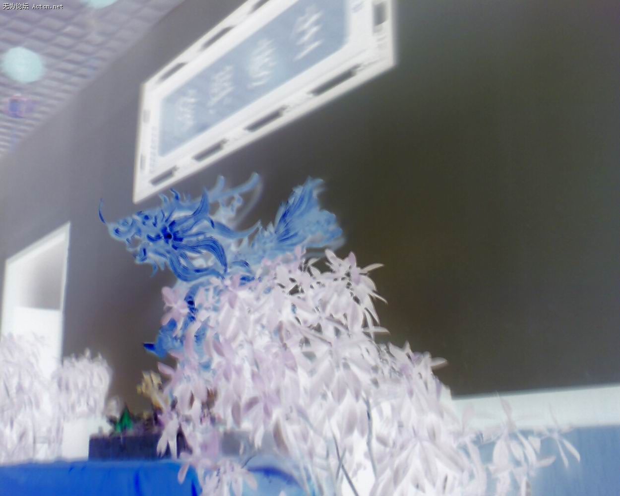 moto_0620.jpg