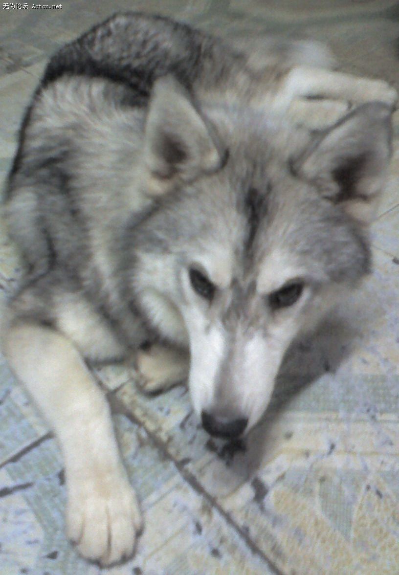 0808_212051.jpg