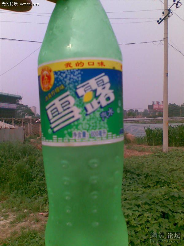 63.jpg