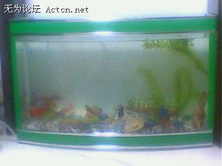 IMG0110A.jpg