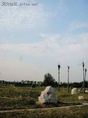 DSC01010.JPG