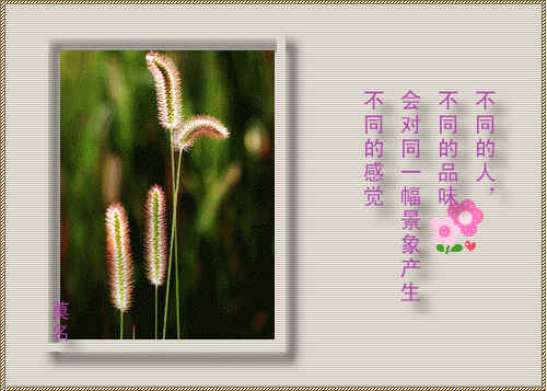 4.gif