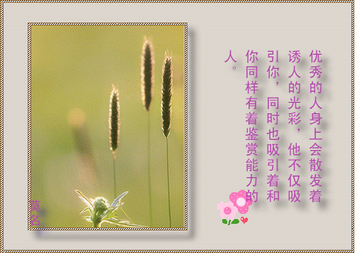 9.gif