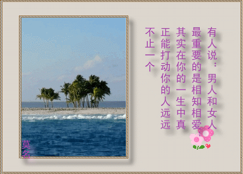 8.gif