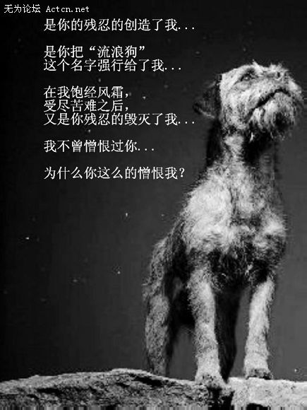 5324326411a1aa36[1].jpg