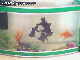 IMG0165A.jpg