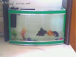 IMG0166A.jpg