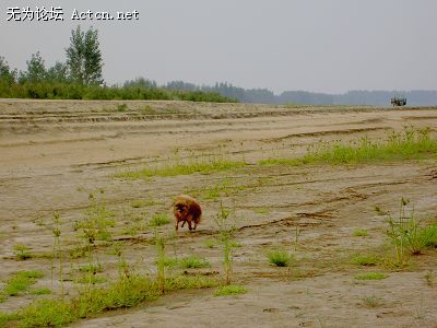 PICT5013.JPG