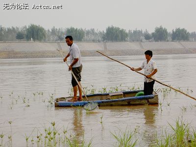 PICT5014.JPG