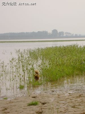 PICT4998.JPG