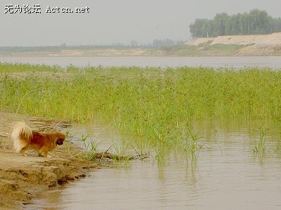 PICT4991.JPG