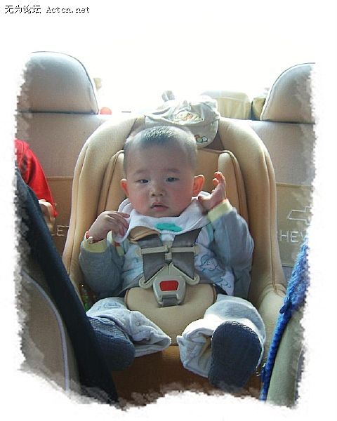 fb16563b5b00f2f1e308_m.jpg