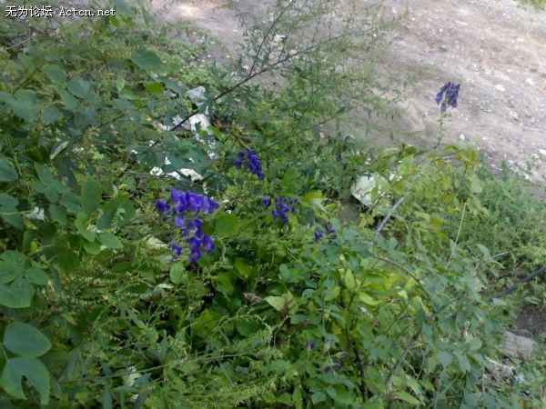 20080915406.jpg