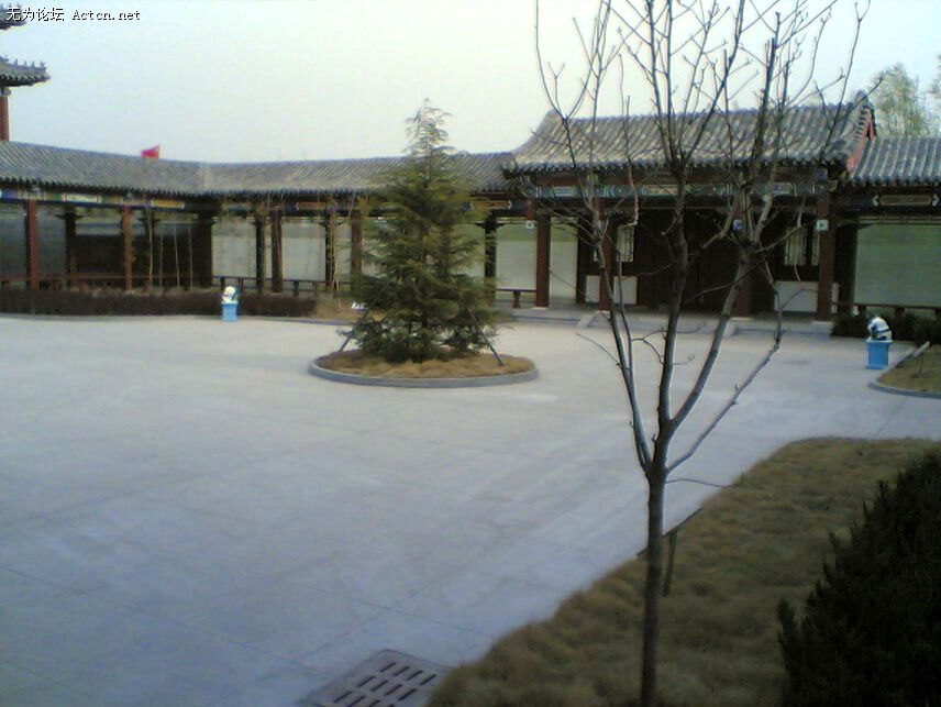 008.jpg