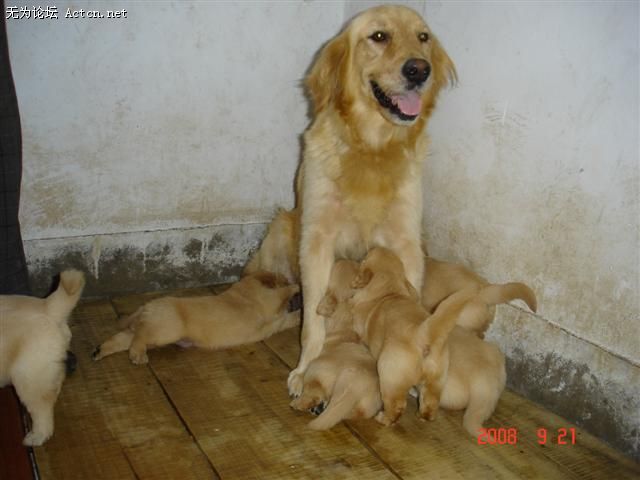 DSC01748.JPG