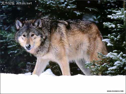 55_380660_f1ae97048ec4f86.jpg