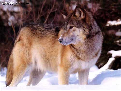 55_380660_19927129fdd6c25.jpg