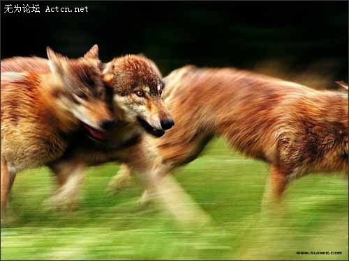 55_380660_997cf1a6518ba08.jpg