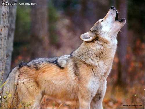55_380660_5708762f52dce68.jpg