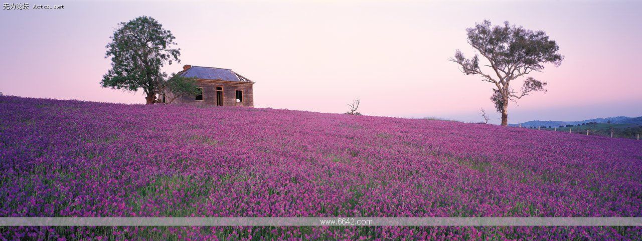 05.jpg