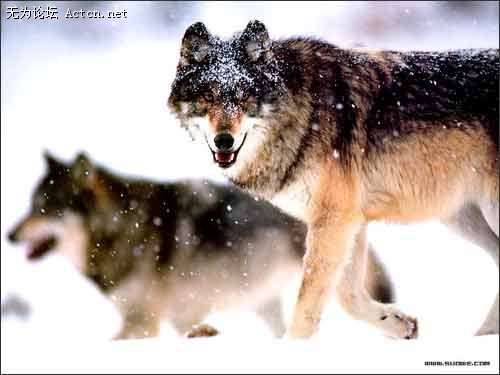 55_380660_e9d428d27f725ab.jpg