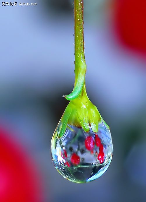 55_403820_6a141eda6657a35.jpg