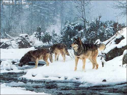 55_380660_1cb19323e4a5097.jpg