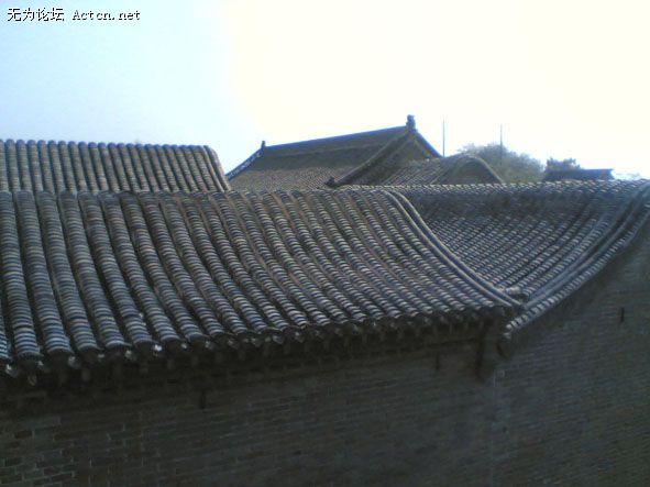 Image(008).jpg